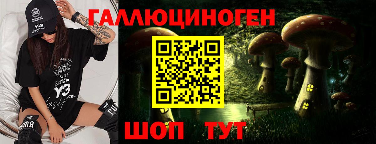 Псилоцибиновые грибы Cubensis  Вход с VPN  Кашира 